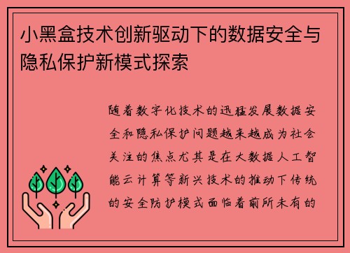 小黑盒技术创新驱动下的数据安全与隐私保护新模式探索